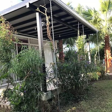 Hotel A For Only 90 Day And Days