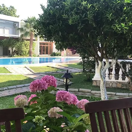 Hotel A For Only 90 Day And Days Antalya