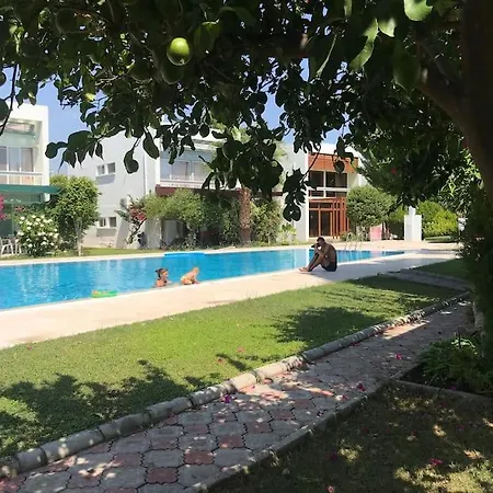 Otel A For Only 90 Day And Days